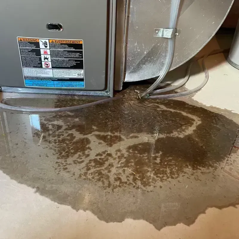 Appliance Leak Cleanup in Mesa County, CO